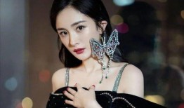 杨幂爆料网红视频播放大全,揭秘网红圈幕后真相